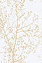 Modern Graphics 10.162 Modern Graphics 10.162